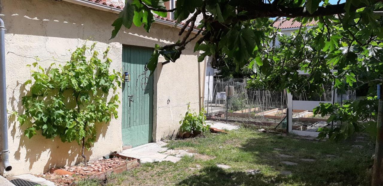 Chambre D'Hotes Du Mas Julianas Saint-Laurent-de-la-Salanque Exterior foto
